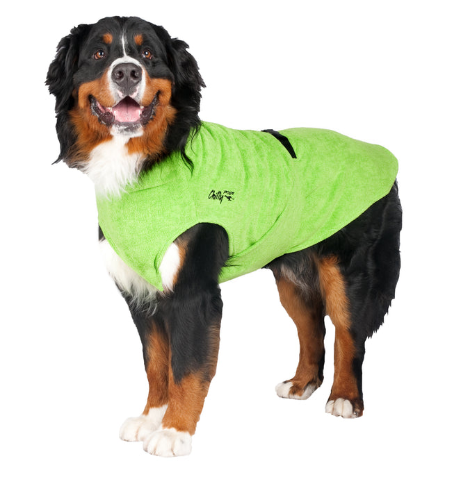 Appenzeller Hund mit grünem Bademantel von Chilly Dogs