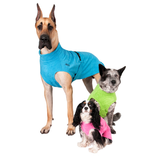 Dogge mit hellblauem Bademantel ein grauer Hund mit grünem Bademantel und ein kleiner Hund mit Rosa Bademantel von Chilly Dogs