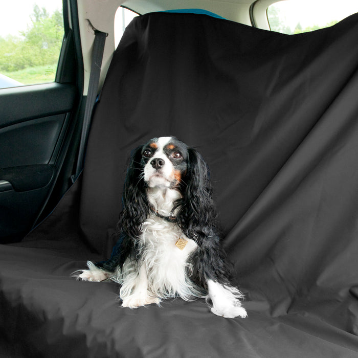 Alpine Decke von Chilly Dogs auf der Rückbank vom Auto