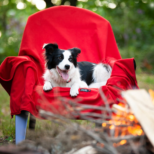 Alpine Decke von Chilly Dogs über Stuhl, Hund liegt darauf