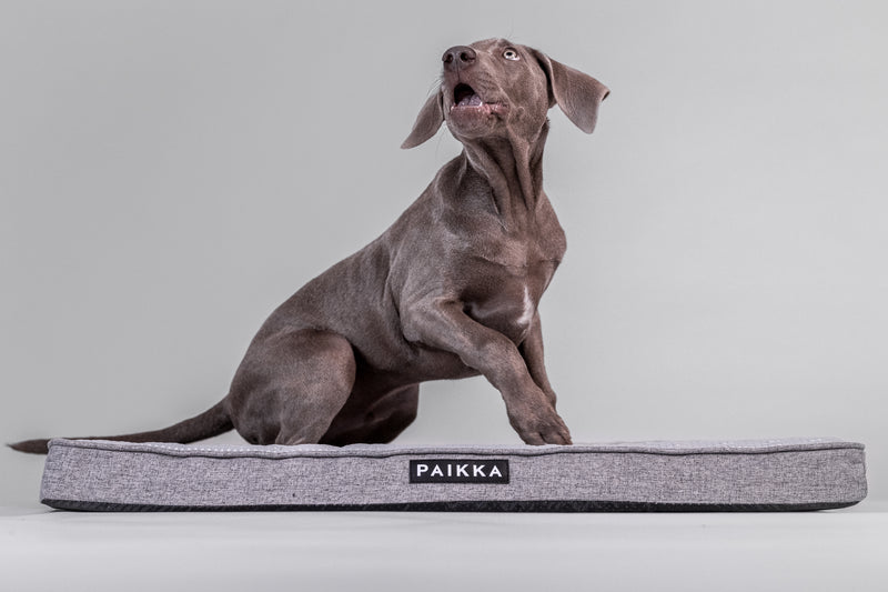 PAIKKA Orthopädische Kühlmatratze Grau