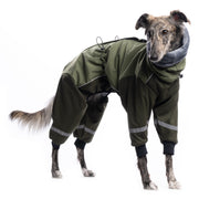 DG_Dog_Gear_Overall_Fluffy_Khaki_Saluki