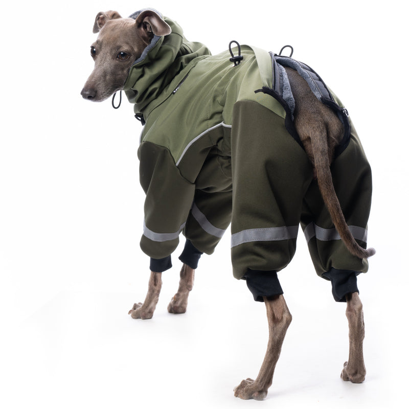 DG_Dog_Gear_Overall_Fluffy_Khaki_Whippet_WindSpielvonhintengeoeffnet