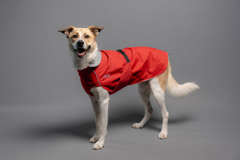 Harbour Slicker - Wind und Regen Standard große Größen