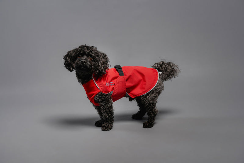 Harbour Slicker - Wind und Regen Standard kleine Größen