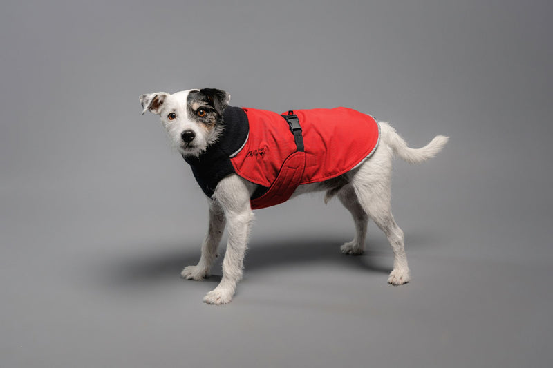 Great White North - Wintermantel - Standard normale Größen