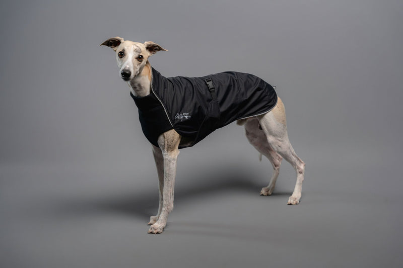 Harbour Slicker - Wind und Regen Long&Lean/ Windhunde