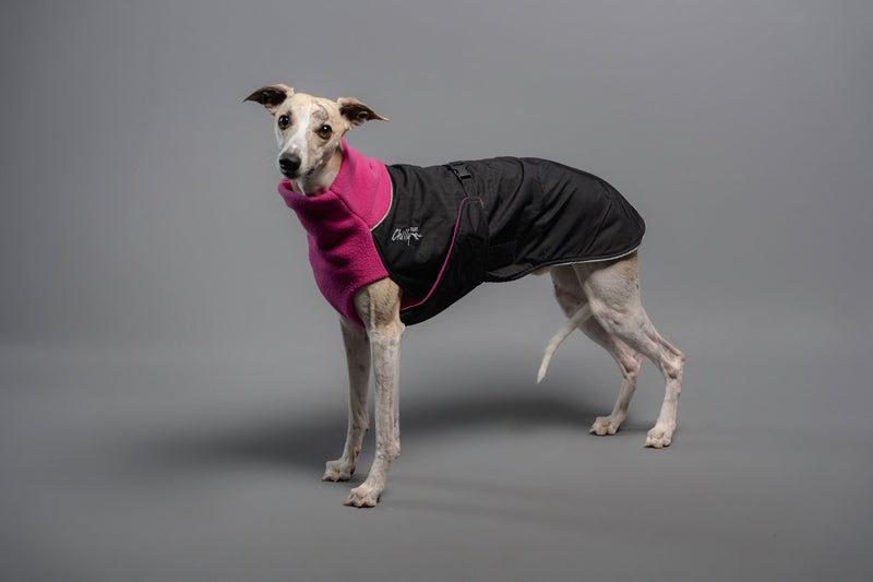 Great White North - Wintermantel - Standard normale Größen