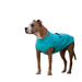 brauner Pitbull mit Chilly Dogs Sweater Fleece Pulli für den Überang, für Broad & Burly Größe