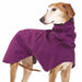 Whippet, mit lila Regenmantel von Sofa Dog Wear