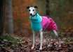 Whippet mit Special Edition Wintermantel, Great White North in pink und blau von Chilly Dogs