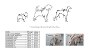 Groessentabelle_headmuff_chillydogs