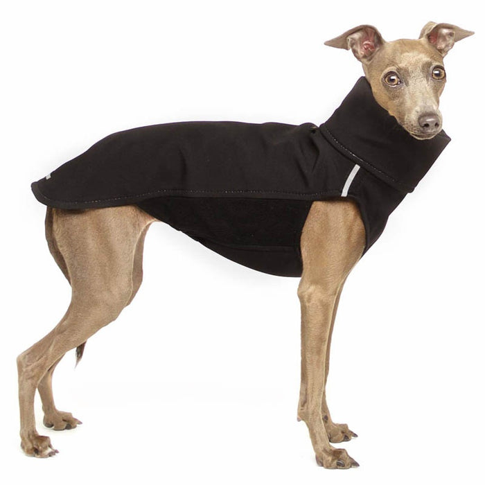 Whippet mit schwarzem Hundepullover von Sofa Dog Wear