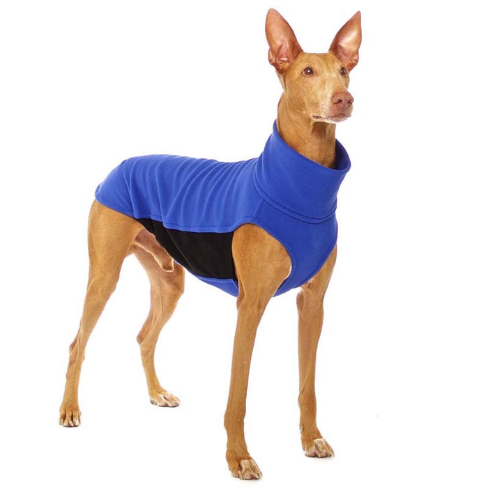 Podenco mit blauem Hundepullover von Sofa Dog Wear