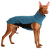 Jagdhund, mit blauem Hundepulli, von Sofa Dog Wear