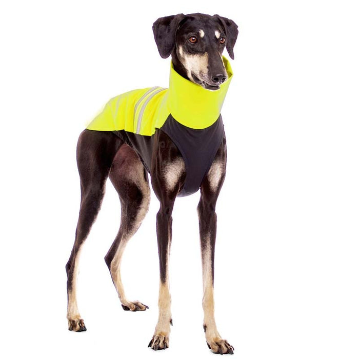Galgo, mit gelbem Regenmantel, von Sofa Dog Wear