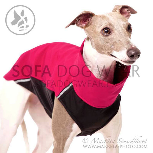 Whippet, mit magenta-schwarzer Softshell Jacke, von Sofa Dog Wear