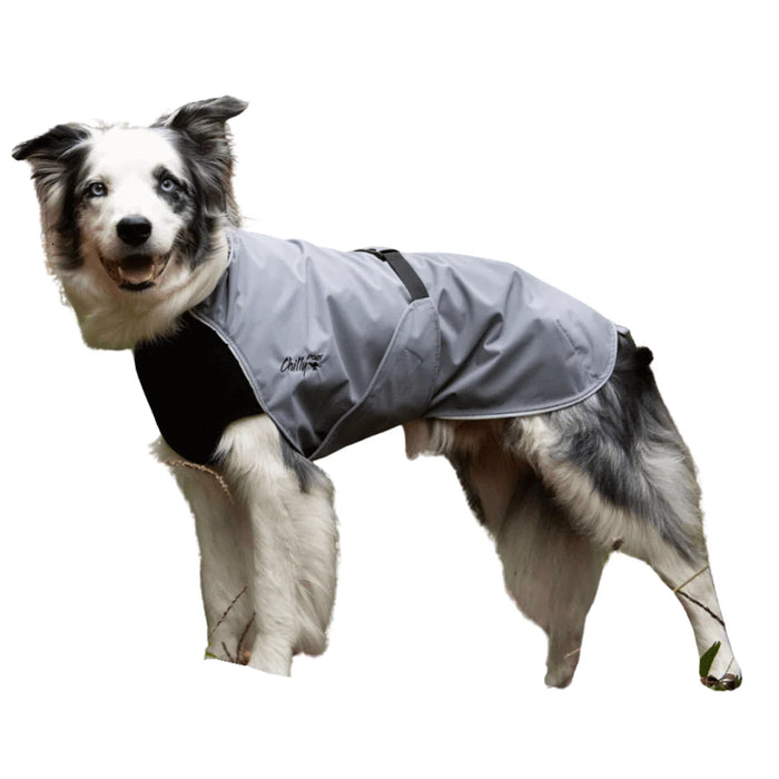 Harbour Slicker - Wind und Regen Long&Lean/ Windhunde