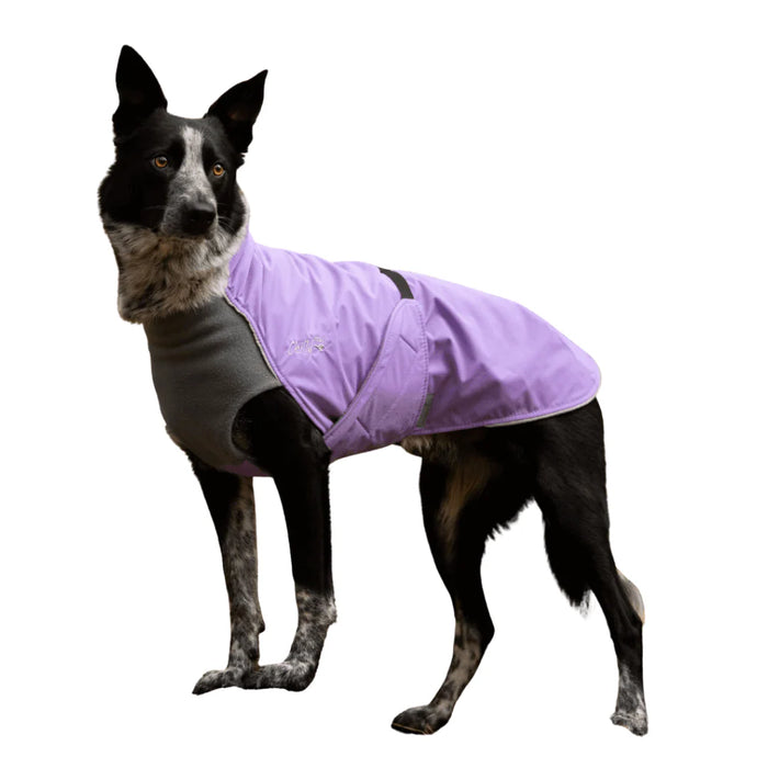 Harbour Slicker - Wind und Regen Long&Lean/ Windhunde