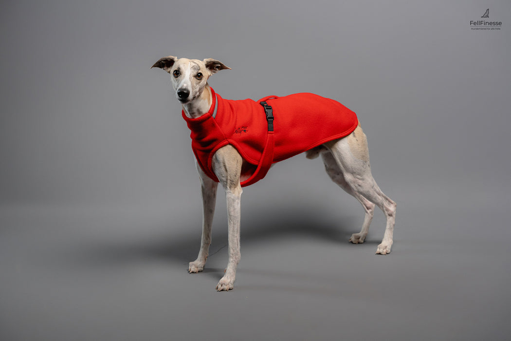 Dog Sweater - Fleece Pulli für den Übergang Long & Lean/ Windhunde