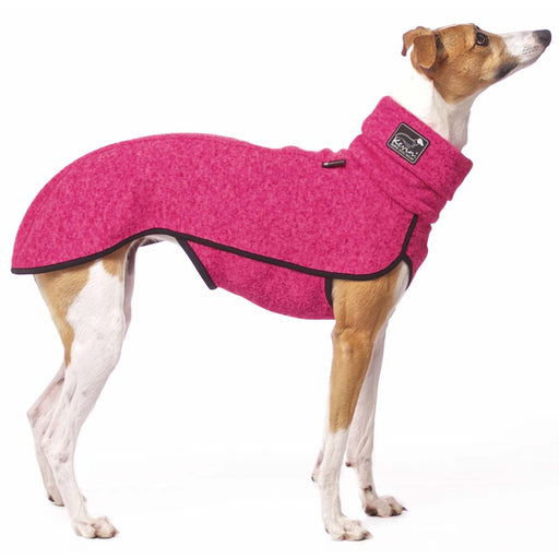 Whippet, mit pinkem Hundepullover von Sofa Dog Wear