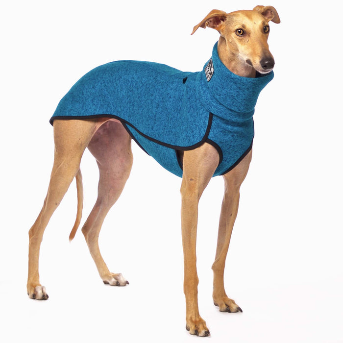 Whippet, mit blauemHundepullover von Sofa Dog Wear