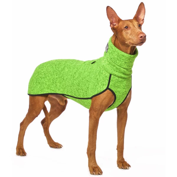Windhund, mit grünem Hundepullover von Sofa Dog Wear