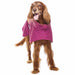 brauner Hund, mit lila Softshellwintermantel , von Sofa Dog Wear