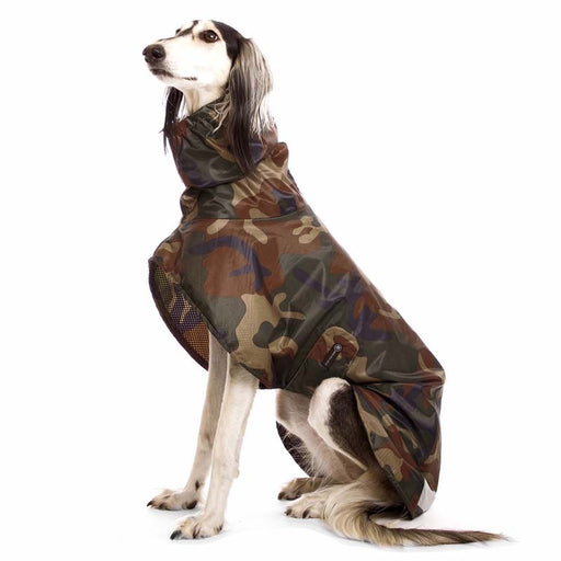 Saluki, mit camouflage Regenmantel, von Sofa Dog Wear