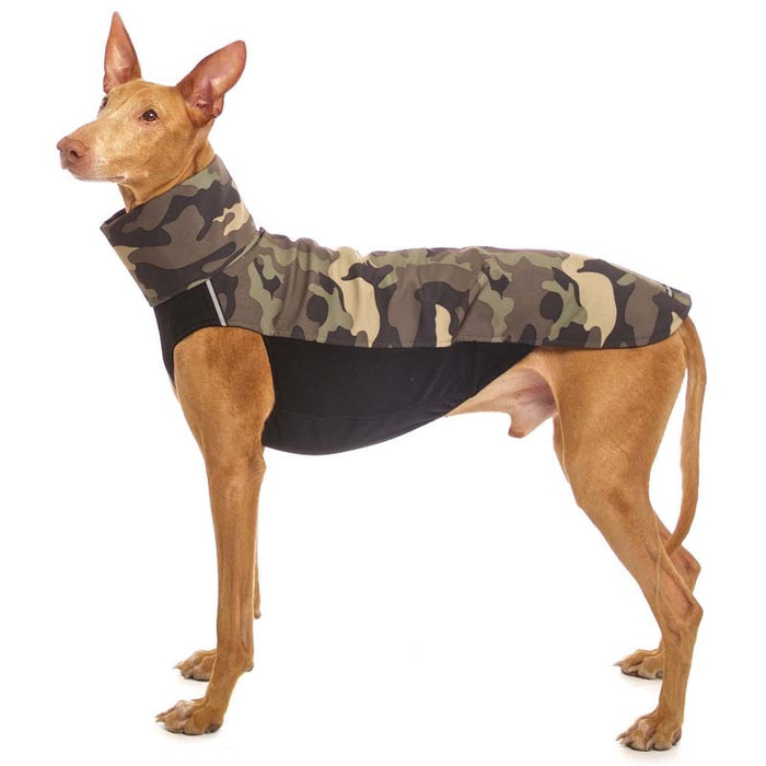 River Ridgeback mit Wind und Regenmantel, Hachico Army Camou Green, Sofa Dog Wear
