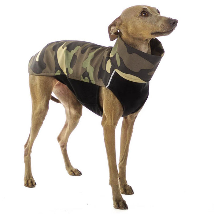 Whippet mit Wind und Regenmantel, Hachico Army Camou Green, Sofa Dog Wear