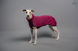 Whippet mit Kevin Jumper Hundepullover