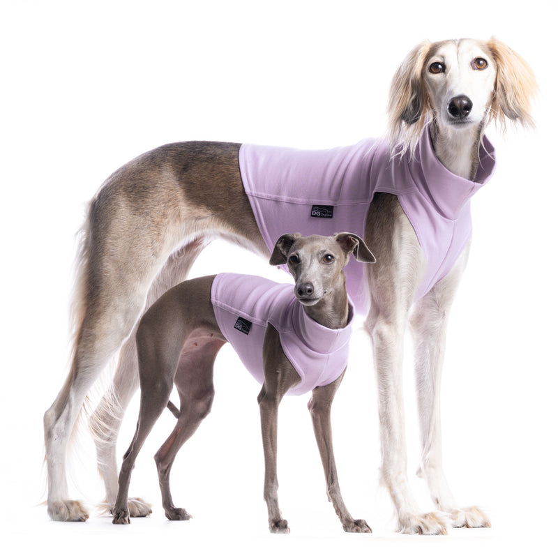 DG Baumwoll Unterwäsche Lavendel