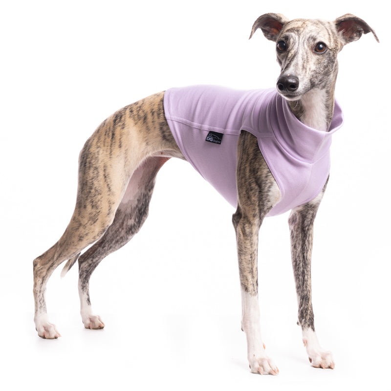 DG Baumwoll Unterwäsche Lavendel