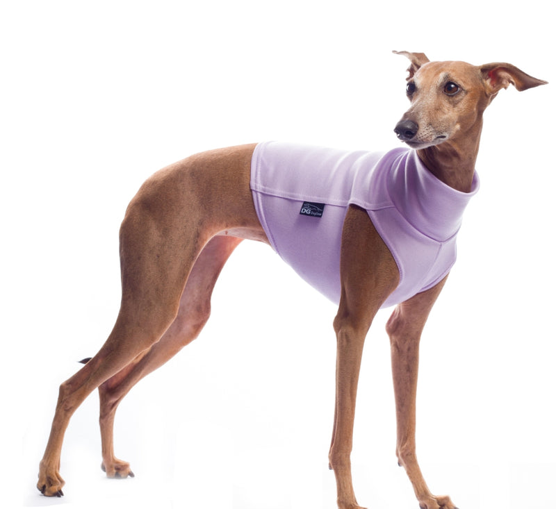 DG Baumwoll Unterwäsche Lavendel