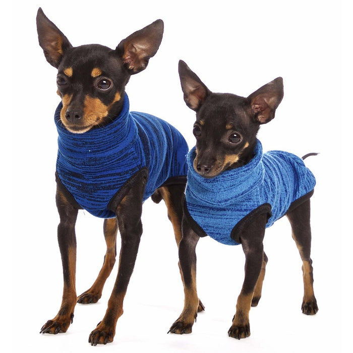 Zwei Chihuahua in blauem und hellblauen Pullover von Sofa Dog Wear