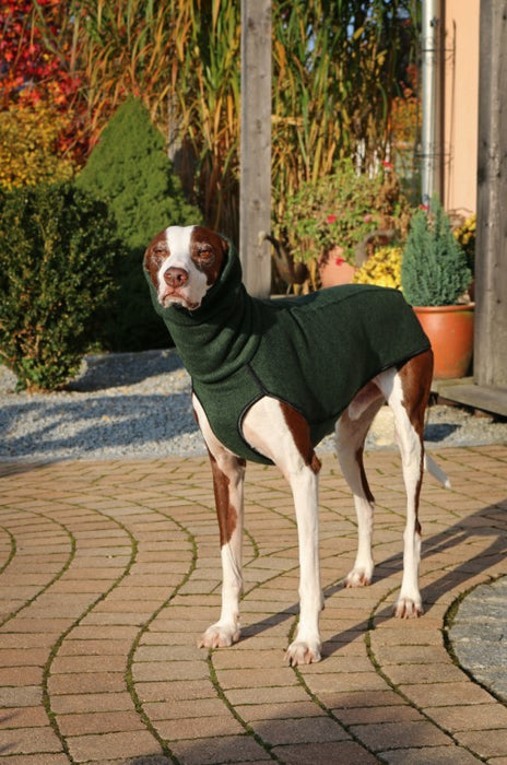 Windhund mit Kevin Jumper Hundemantel von Sofa Dog Wear