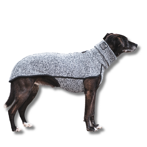 schmaler, schwarzer Hund mit Hundepullover Kevin Jumper von Sofa Dog Wear