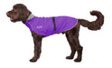 Hund mit lila Regenmantel von Chilly Dogs