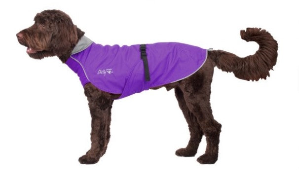 Hund mit lila Regenmantel von Chilly Dogs