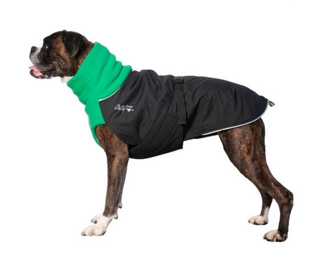 Boxer, mit schwarz-grünem Chilly Dogs, Wintermantel
