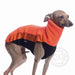 Windspiel, in orange-schwarzem Outdoor Fleece Top, von DG Dog Gear