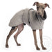 Whippet Welpe, mit grauer Baumwolljacke, von DG Dog Gear