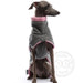 Windspiel, mit grau-pinker Soft Fleece Jacke, von DG Dog Gear
