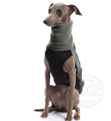 Whippet, in schwarz-grünem Outdoor Fleece Top, von DG Dog Gear
