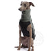 Whippet, in schwarz-grünem Outdoor Fleece Top, von DG Dog Gear