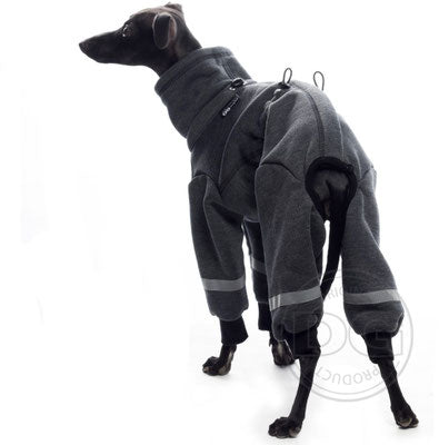 Whippet mit antrazit Ninja Overall - Cotton von DG Dog Gear